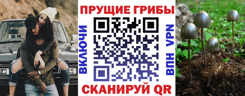 Псилоцибиновые грибы GOLDEN TEACHER  где можно купить   Саратов 